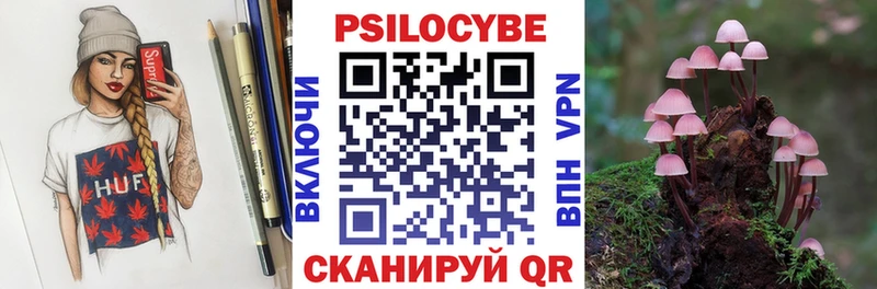где найти Афипский Псилоцибиновые грибы мицелий